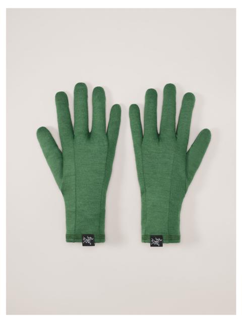 Arc'teryx Gothic Glove