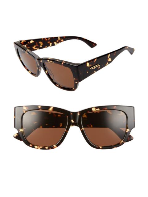 Bottega Veneta Bottega Veneta 55mm Cateye Sunglasses in Havana/brown