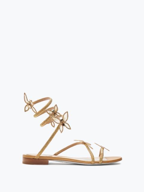 RENE CAOVILLA Butterflower Crystal Gold Sandal 10