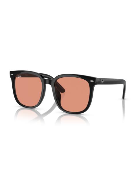 Ray-Ban RB4401D WASHED LENSES