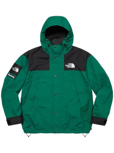 Supreme x The North Face mountain jacket