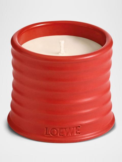 Loewe Small Tomato Leaves Candle, 5.8 oz.