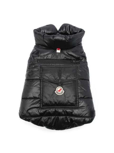 Moncler dog vest
