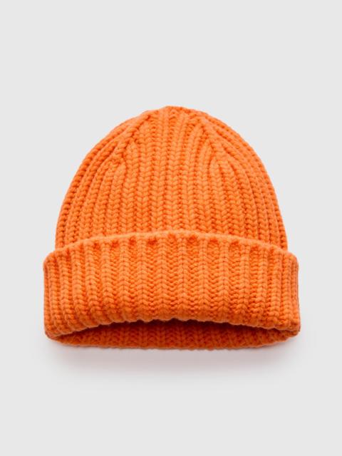 HOWLIN' "Brain Freezer" Wool Beanie in Tangerine Dreams
