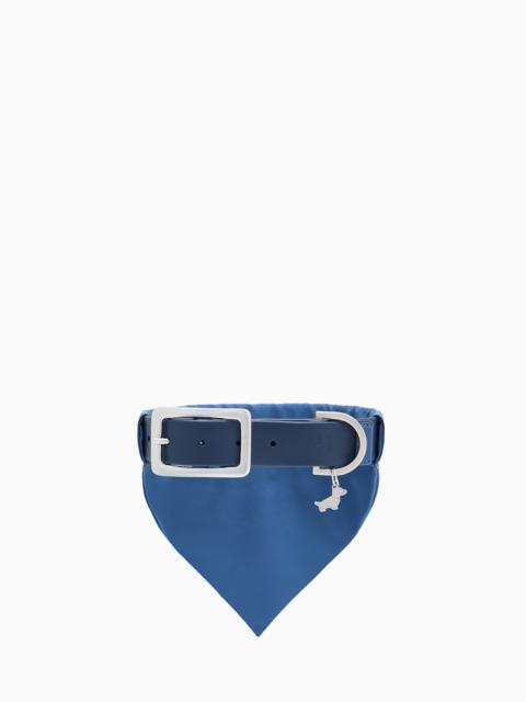 GIORGIO ARMANI POLDO DOG COUTURE X GIORGIO ARMANI COLLAR