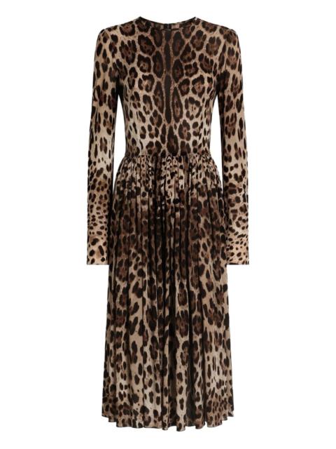 Dolce & Gabbana animal-print midi dress
