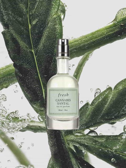 fresh cannabis santal eau de parfum