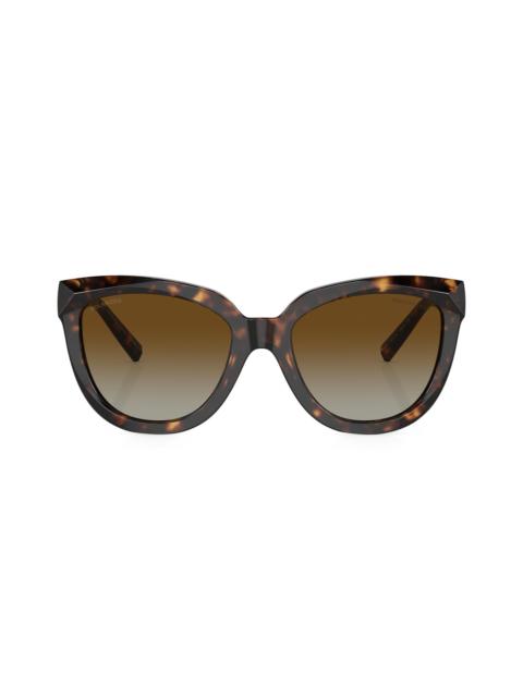 Tiffany & Co. Women's 53MM Cat-Eye Sunglasses - Havana