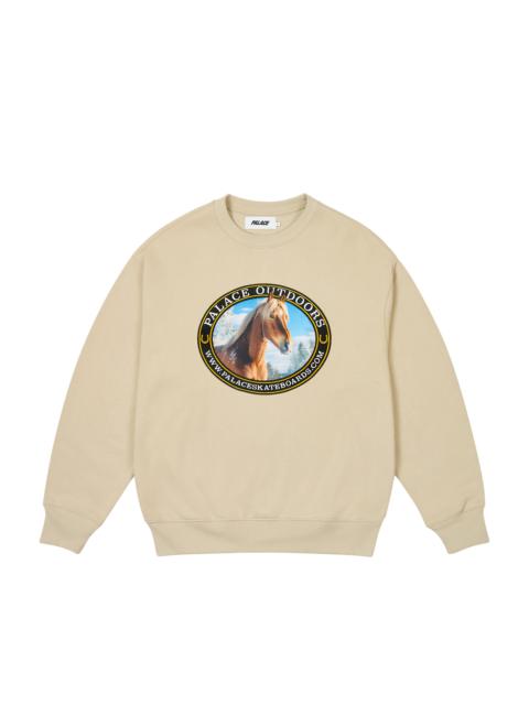 PALACE PALACE OUTDOORS CREW STONEY GREY