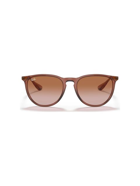 Ray-Ban RB4171 Erika Classic