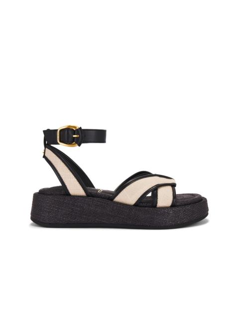 Sam Edelman Nylie Sandal
