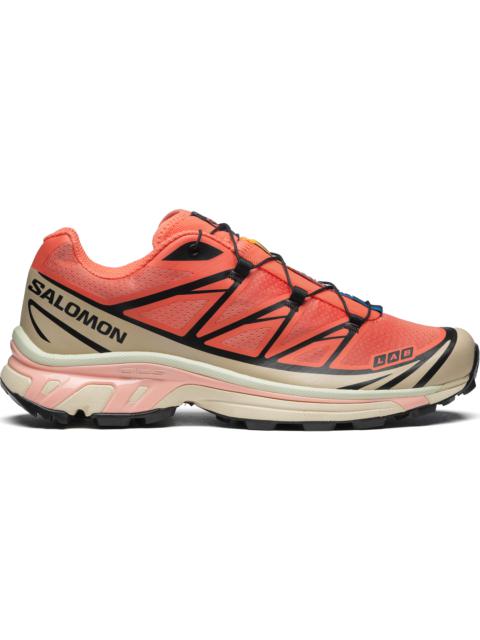 SALOMON XT-6