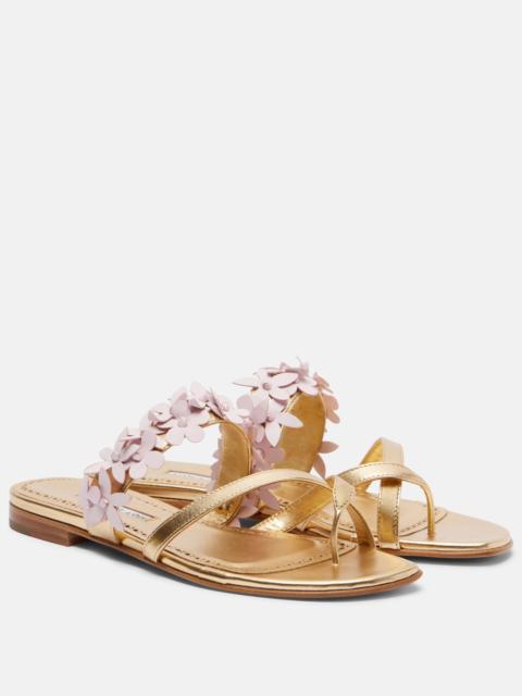 Manolo Blahnik Fiosabi appliqué leather thong sandals