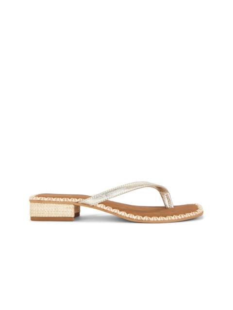 dolce vita Barty Sandal