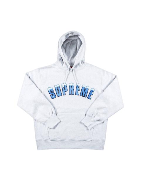 Supreme Icy Arc Hooded Sweatshirt 'Ash Grey'