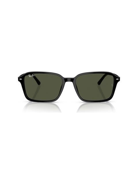 Ray-Ban RB2231 Raimond