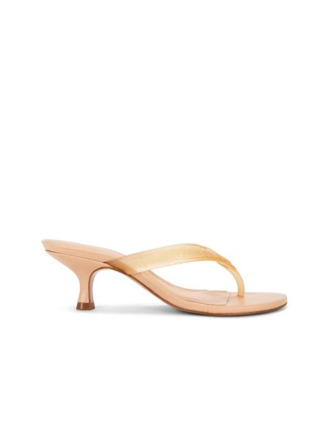 FARM RIO Rob Heel Sandal