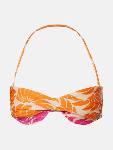FARM RIO Floral bikini top
