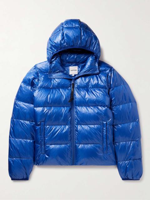Quilted Nylon Hooded Down Jacket