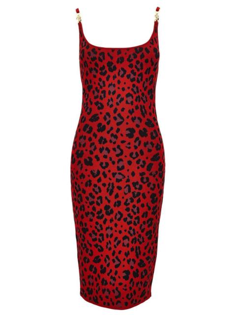 Animal Print Midi Dress