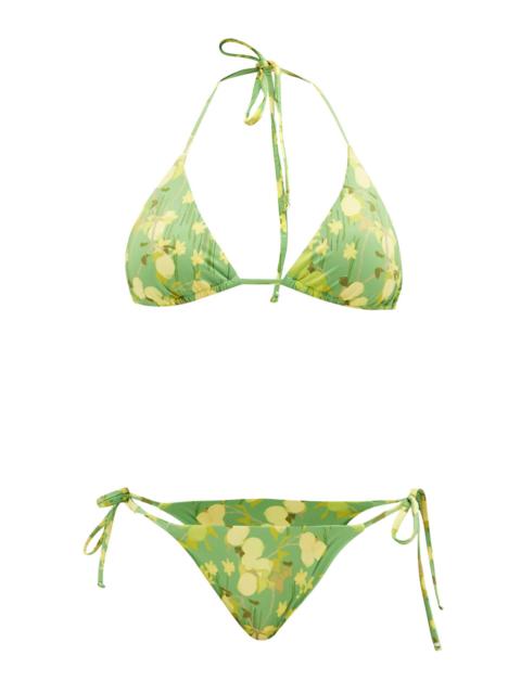 Bikini Citrus