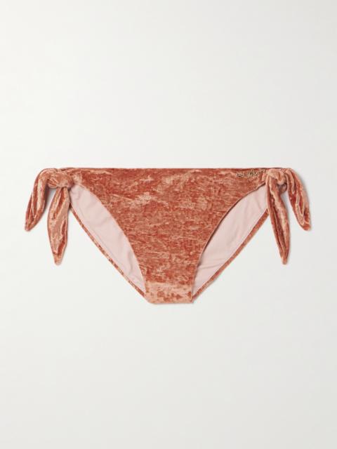 Chloé Embellished Velvet Bikini Briefs