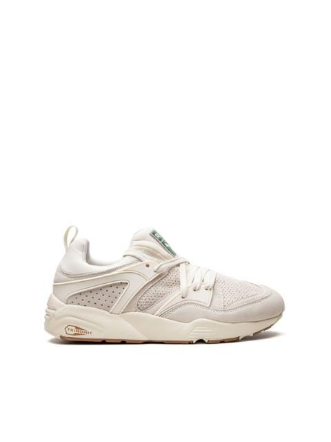 PUMA 글로리 MMQ 운동화의 불꽃