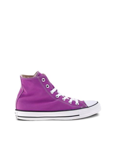 Converse Chuck Taylor "Purple cactus" sneakers