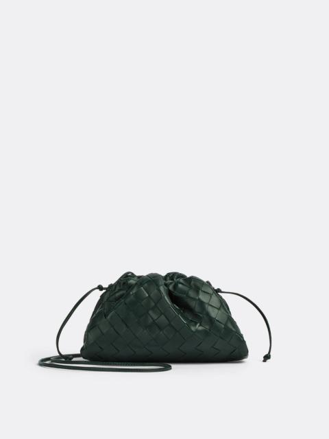 Bottega Veneta mini pouch