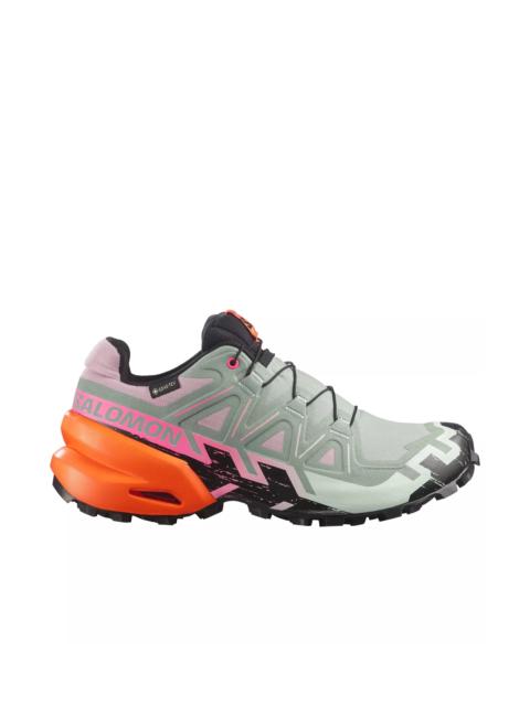 SALOMON SPEEDCROSS 6 GTX ICON W