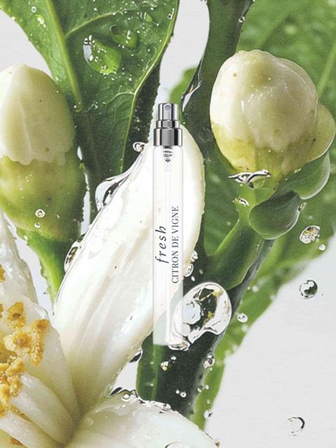 fresh citron de vigne eau de parfum