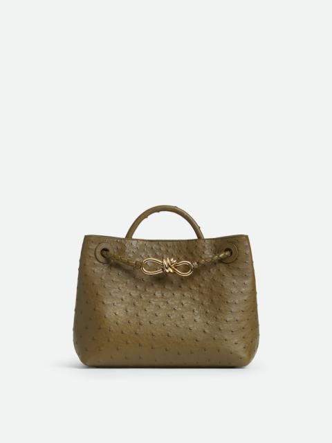 Bottega Veneta Small Andiamo