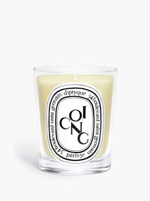 Diptyque Coing (Quince) - Classic Candle