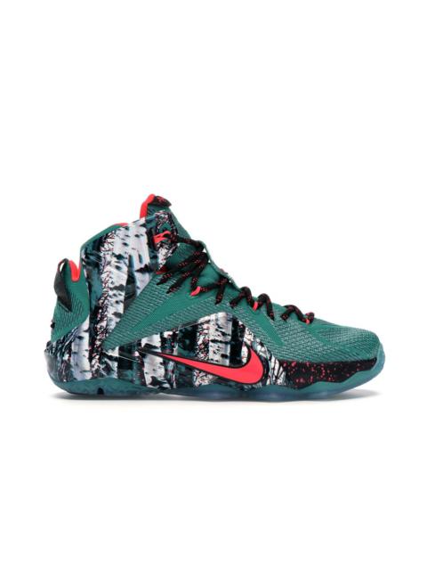 Nike LeBron 12 Akron Birch