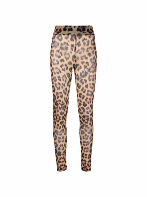 leopard-print semi-sheer leggings