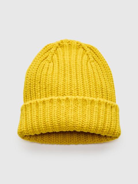 HOWLIN' "Brain Freezer" Wool Beanie in Solaris