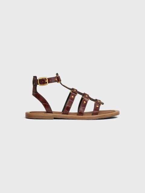 CELINE CELINE LYMPIA GLADIATOR SANDAL in CROCODILE STAMPED CALFSKIN