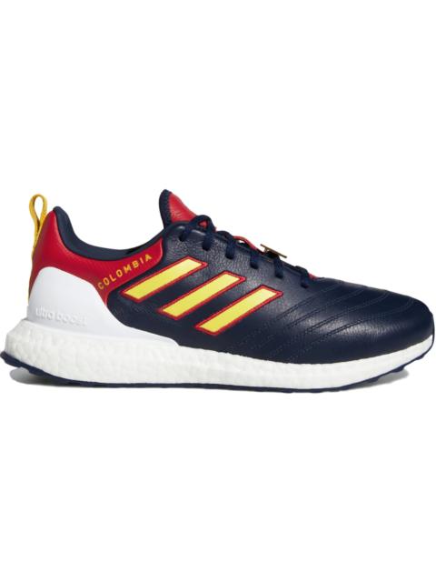 adidas Ultra Boost DNA Colombia Copa World Cup