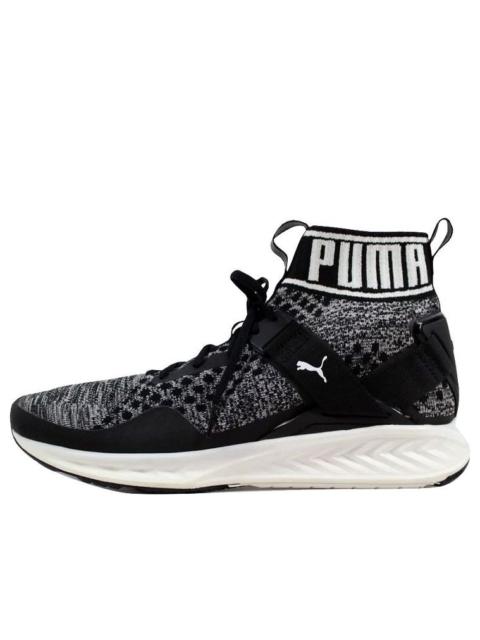 PUMA Puma Ignite EvoKnit Black/Quiet Shade-White