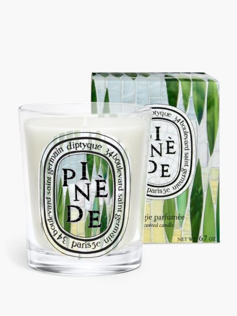 Diptyque Pinède (Pine Grove) - Classic Candle