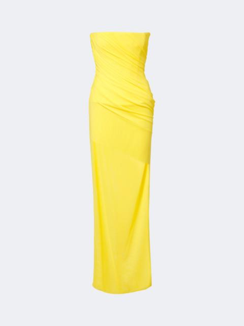 ALEX PERRY Ruched mesh bustier gown