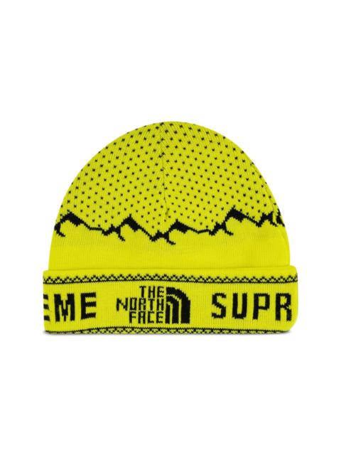 TNF fold beanie