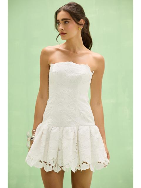 PatBO MYSIE LACE MINI DRESS