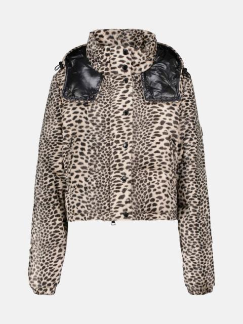 Moncler leopard-print padded jacket