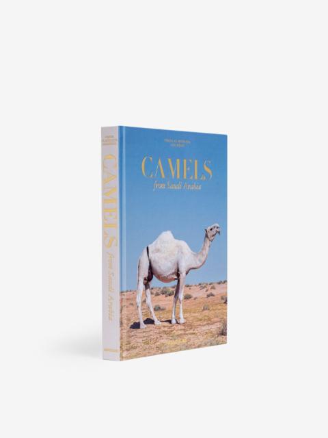 ASSOULINE Camels from Saudi Arabia (Classic)