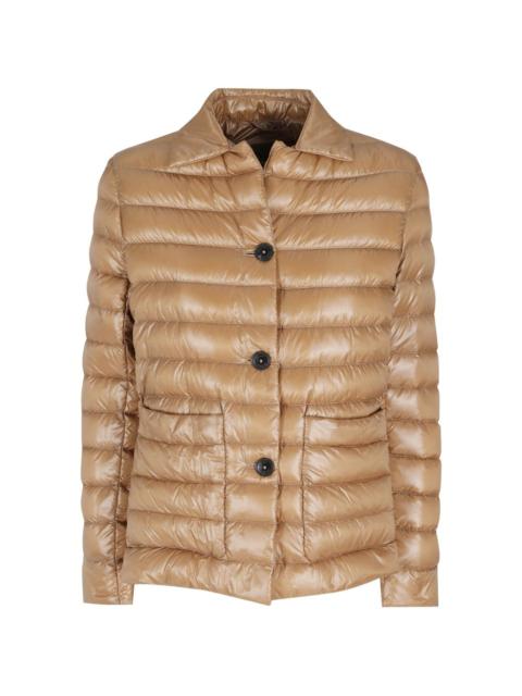 Herno collared jacket