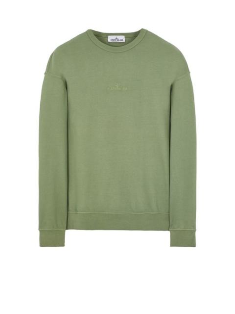 62951 SAGE GREEN