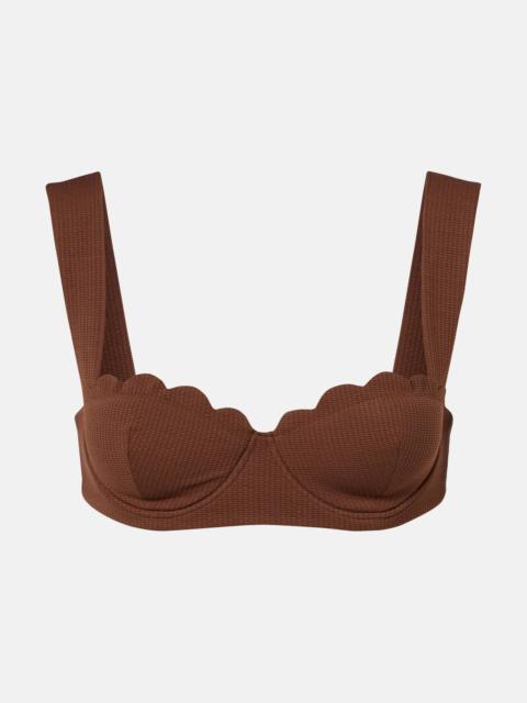 MARYSIA North scalloped bikini top