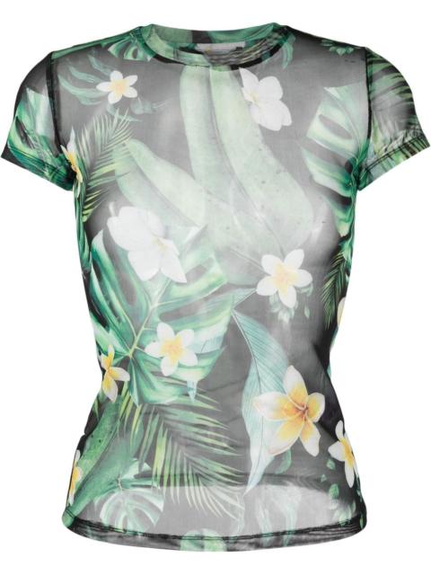 sheer graphic-print T-shirt