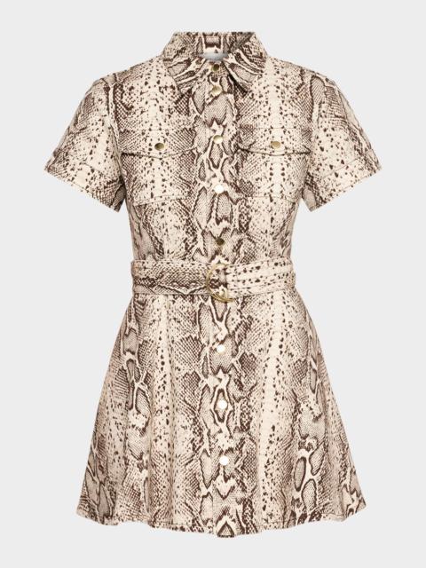 Cara Cara Walter Snakeskin-Printed Cotton Canvas Mini Dress